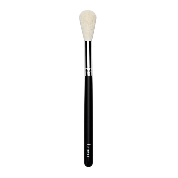 Pro Mini Highlighter Brush B601 - Lemeri Beauty
