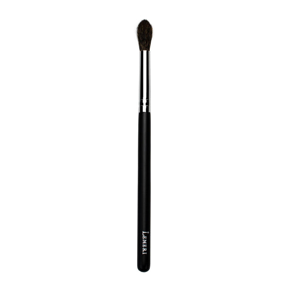 Pro Mini Highlighter Brush B719 - Lemeri Beauty